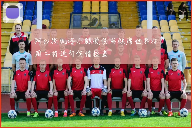 阿拉斯凯塔小腿受伤或缺席世界杯周二将进行伤情检查